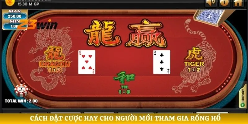 Cách đặt cược hay cho người mới tham gia rồng hổ