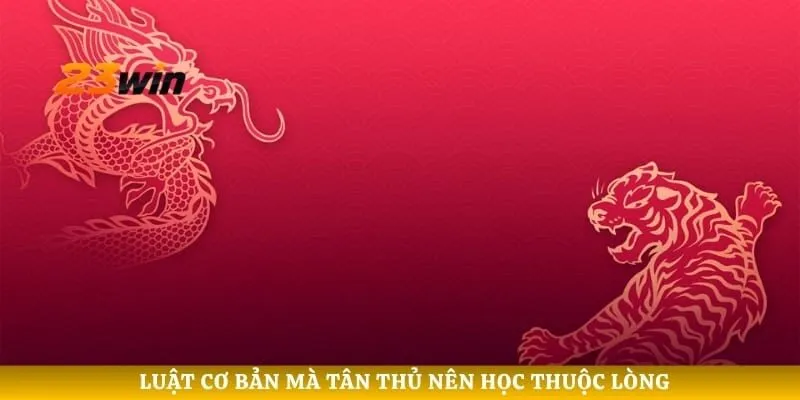 Luật cơ bản mà tân thủ nên học thuộc lòng