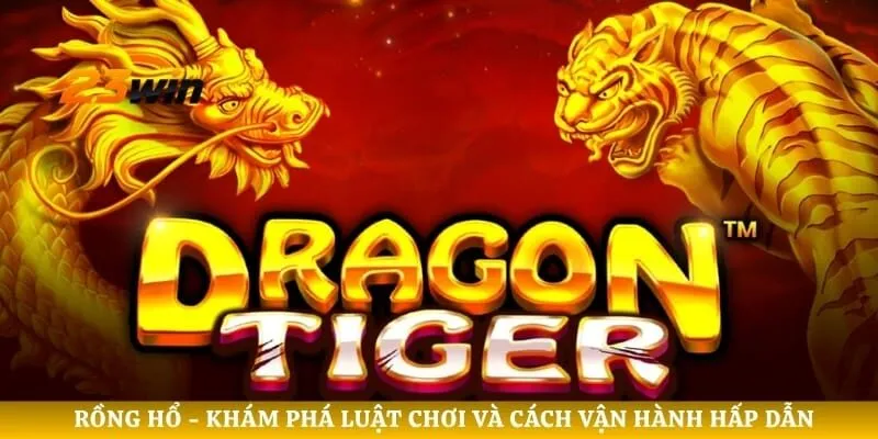 Rồng Hổ - Khám Phá Luật Chơi Và Cách Vận Hành Hấp Dẫn