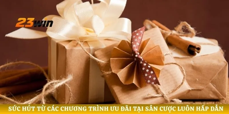 Sức hút từ các chương trình ưu đãi tại sân cược luôn hấp dẫn